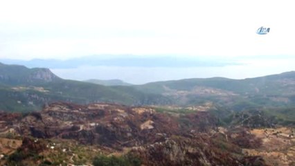 Zeytinköy'de Yanan Alan Havadan Görüntülendi