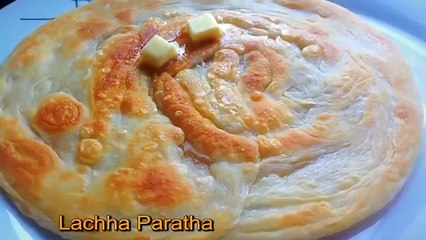 lachha paratha  multi layered indian pakistani bread flaky layered paratha