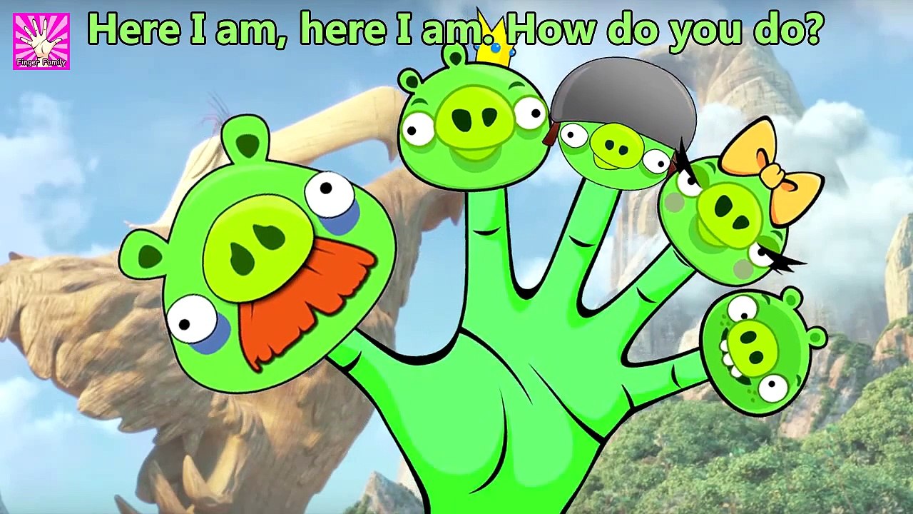 Angry Pigs Finger Family Nursery Rhymes Lyrics