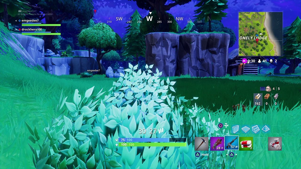 Fortnite Natural Selection