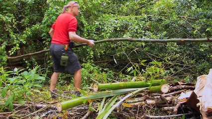 How to construct a simple Jungle Shelter