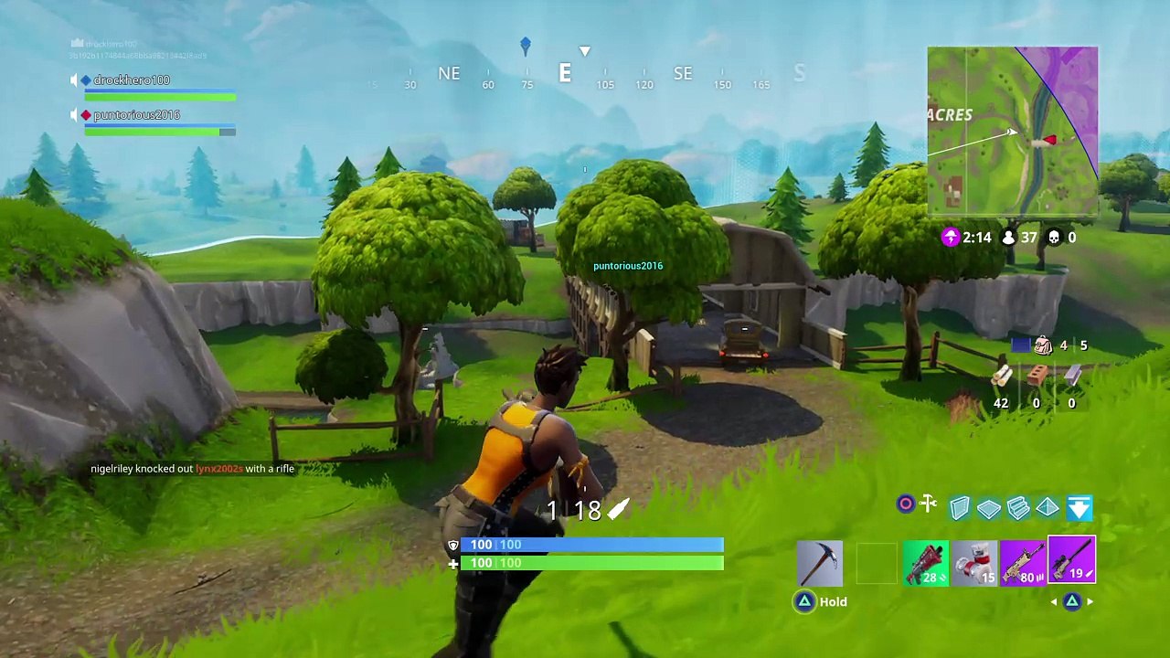 Fortnite DUO Win