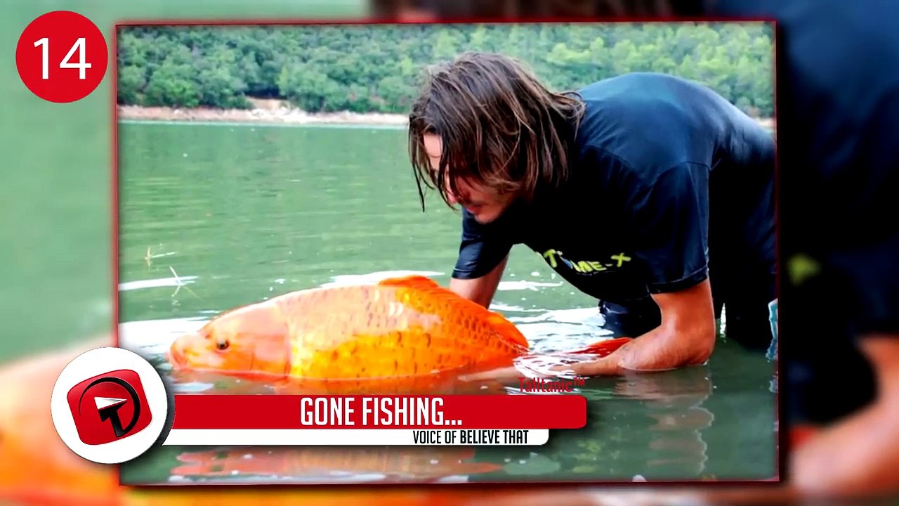 Biggest Animals You Wont Believe Exist!