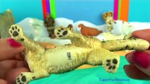 9 Arctic Animals Surprise Toys 3D Puzzles - Orca & Orca Calf Arctic Wolves Beluga Walrus