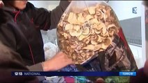 Haute-Loire : la traditionnelle foire aux champignons de La Chaise-Dieu