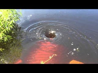 Friends Share Their Excitement at Discovery of a Water Vortex