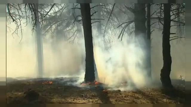 Incendi in Val di Susa, aria irrespirabile fino a Torino