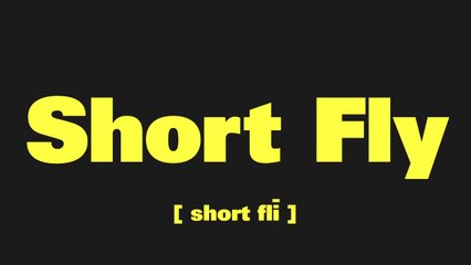 VocabuLarry: Short Fly | Curb Episode 904