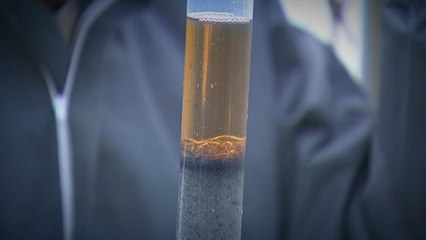 부평 미군기지 '1급 발암물질' 다이옥신 오염 심각 / YTN