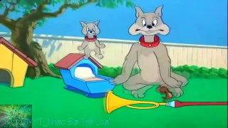 Tổng hợp Tom and Jerry Remix Part 1 đến 10