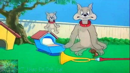 Tổng hợp Tom and Jerry Remix Part 1 đến 10