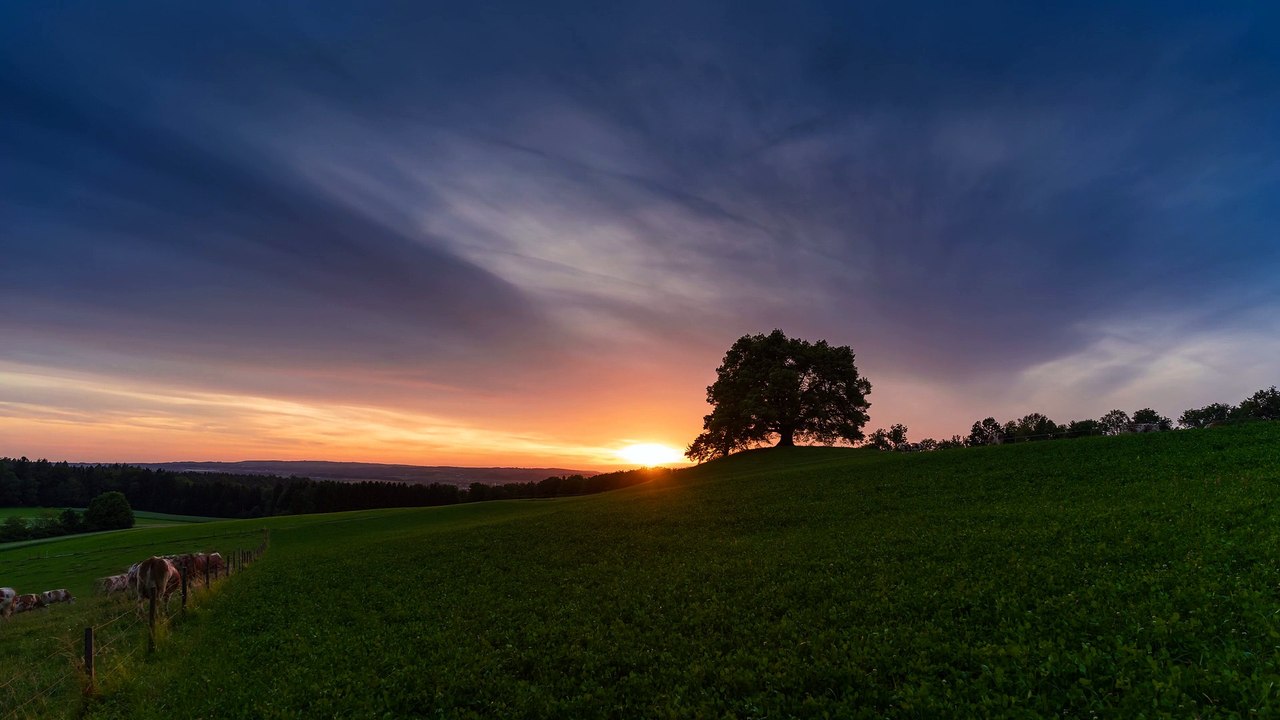 Sunset