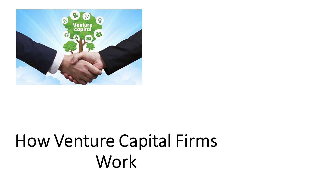 How Venture Capital Firms Work