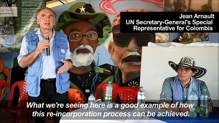 Ex-Farc members pick up pineapple farming as part of new life