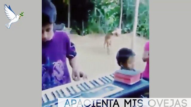 Una mirada de Fe - niños adorando a Dios