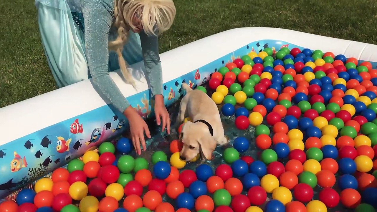 Frozen Elsa Magically gets real puppy from Frozen Olaf _ Kids Movie in Real Life-H_0bzo3-ytU