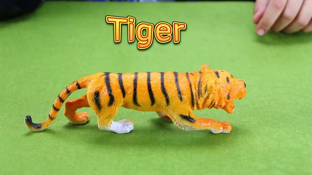 Learn Animals Sounds And Names For Children Kids And Babies _ Learning Wild Jungle Animals-jxqyRhdP-6o