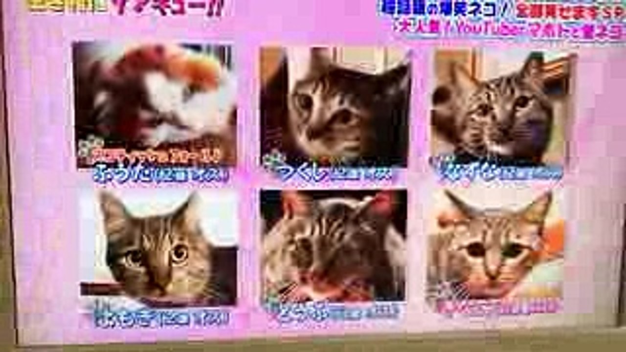 人気YouTuberワタナベマホト 生き物にサンキュー！
