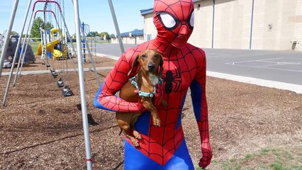 Superkid Batman Saves Mr. Weenie _ Real Life Superhero Fight!-sgquURcuQTs