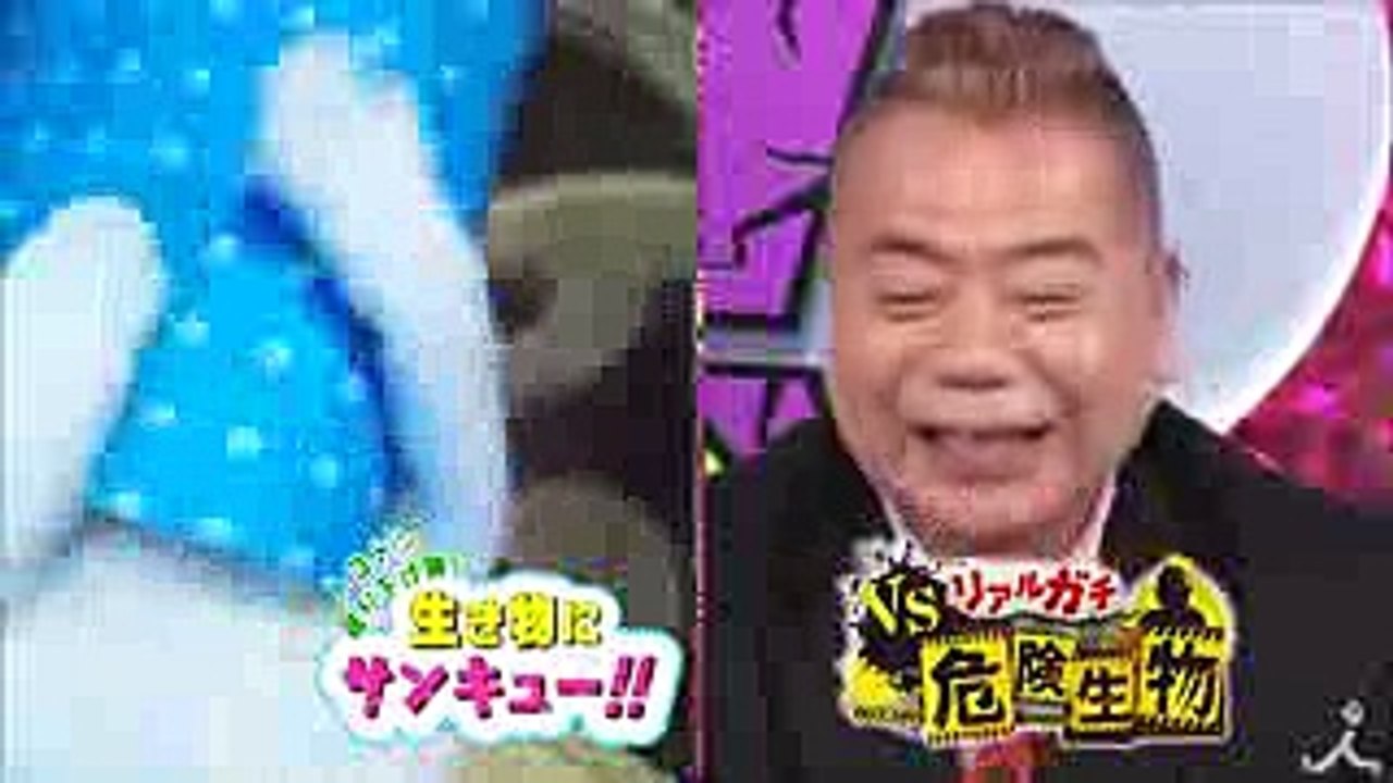 笑撃! うちの動物こんなことできる大賞＆日本にもいた! 外来リアルガチ危険生物の驚異 96(水)『生き物にサンキュー』＆『 VSリアルガチ危険生物』合体3時間SP!!【TBS】