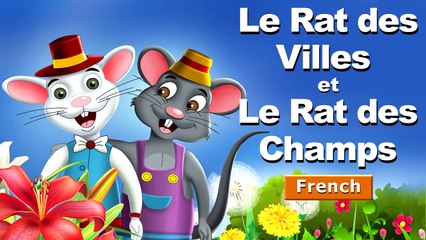 Le Rat des Villes et le Rat des Champs - Histoire pour Enfants - Contes de Fée - French Fairy Tales