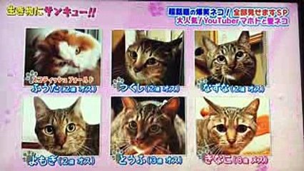 【音量注意】人気YouTuber ワタナベマホト 『生き物にサンキュー‼︎ 』出演！