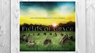 Download PDF Fields of Grace: Celtic Meditation Music from the Heart of Ireland FREE