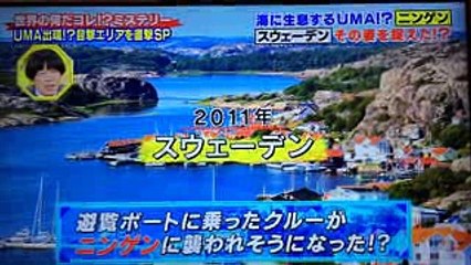 なんだこれミステリー｢ニンゲン！？｣テレビ初登場！！！