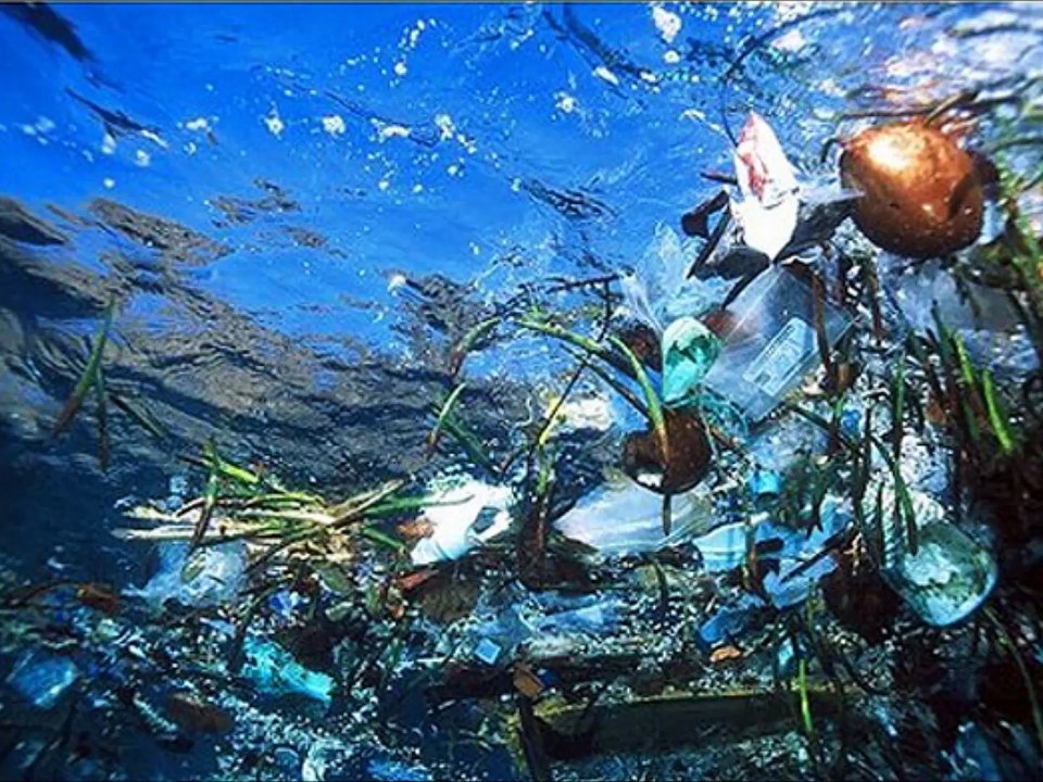 Science for kids in Urdu, 18,  water pollution آبی آلودگی