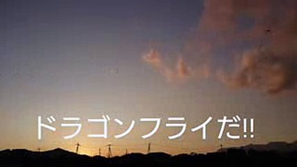 世界の何だコレミステリーUFO・UMA・超常現象 珠玉の映像