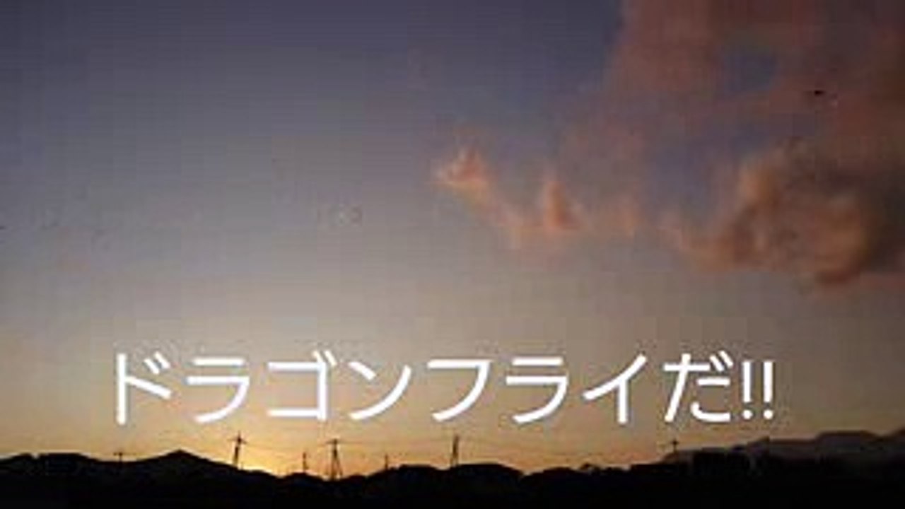 世界の何だコレミステリーUFO・UMA・超常現象 珠玉の映像