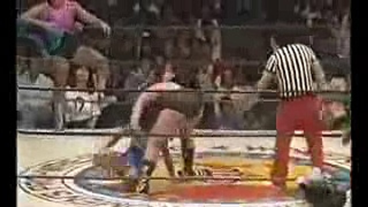 昭和の女子プロレス 超怖ぇぇ〜 デビル雅美をご堪能ください㊙️