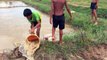 Amazing Children Fishing - How To Catch Fish By Hand In Cambodia - Catch A Lot Of Fish