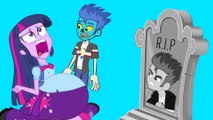 Edit Edit My Little Pony MLP Equestria Girls Transforms with Animation Love Wedding Story Zombie