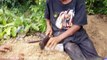Amazing Smart Brothers Catch Snakes Using Deep Hole Trap - How To Catch Snake With Trap in