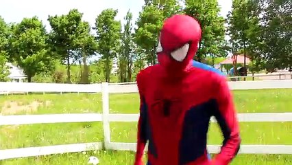 Learn Colors With MERMAIDS! w/ Fozen Elsa Anna Spiderman Johny Johny Yes Papa Lipstick Cha