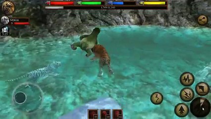 Birth of Our Fierce Tiger Cub!! • Ultimate Jungle Simulator!