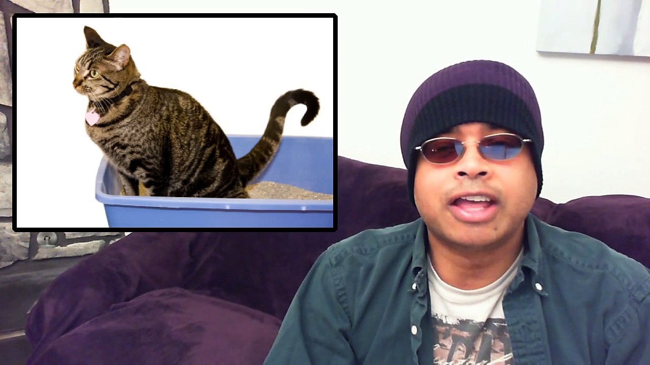 Mailing Cat Poop To Your Enemies!!-9wnjxQ6IKlQ