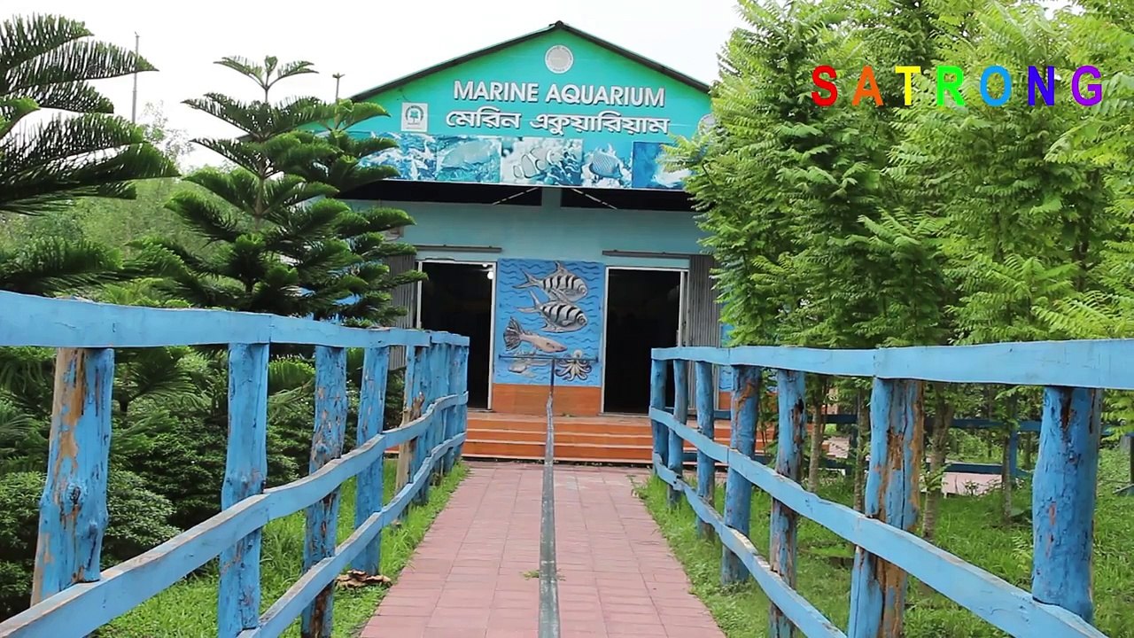 Marine Aquarium _ Bangabandhu Safari Park, Gazipur, Bangladesh _ Safari Park Marine Aquarium-NXXILc3dL_k