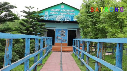 Marine Aquarium _ Bangabandhu Safari Park, Gazipur, Bangladesh _ Safari Park Marine Aquarium-NXXILc3dL_k