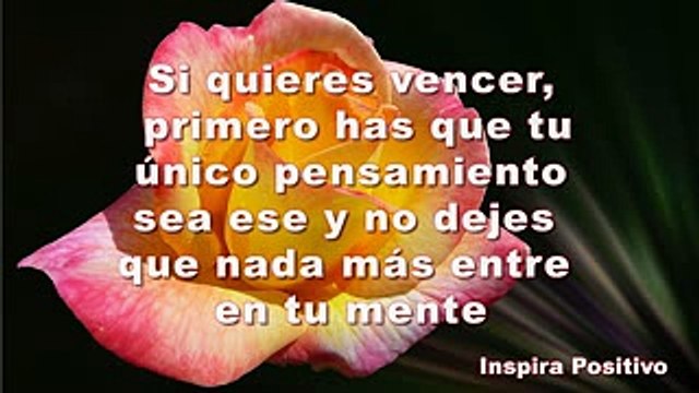 El video mas hermoso de Reflexion - Reflexiones de la vida - abrelo