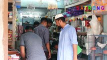 Small Pet Market Dhaka _ Birds and Pets Market in Bangladesh _ Street Pet Market-xR0V7Nju3QI