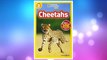 Download PDF National Geographic Readers: Cheetahs FREE