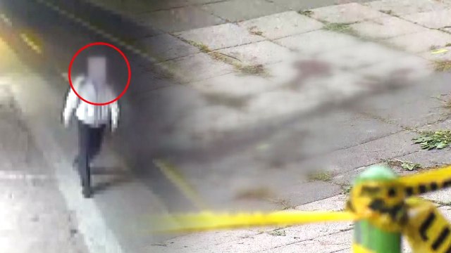 NC 윤송이 부친 살해범 '모르쇠' 일관...범행 동기 '오리무중' / YTN