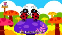 Hey, Ladybug _ Bug Songs _ Pinkfong Songs for Children-rY5ajMMFO28