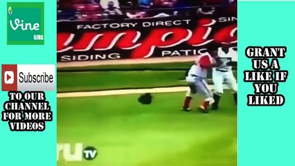 ☞ Best Baseball Vines Compilation With Drops Music - MLB Fight Compilation ☻2016 #213 ✔