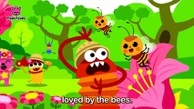 Nature _ Word Power _ Pinkfong Songs for Children-xMVY2hMwPek