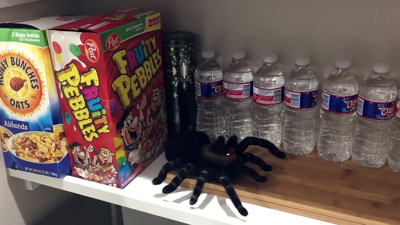 BAD BABY SPIDER ATTACKS BOY Big Nerf Gun Kids Giant Spider Toy Freaks