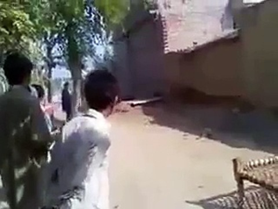 Very funny man jump you will not stop laugh