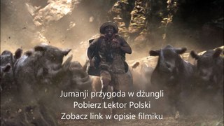 Jumanji przygoda w dżungli pobierz lektor polski 2017